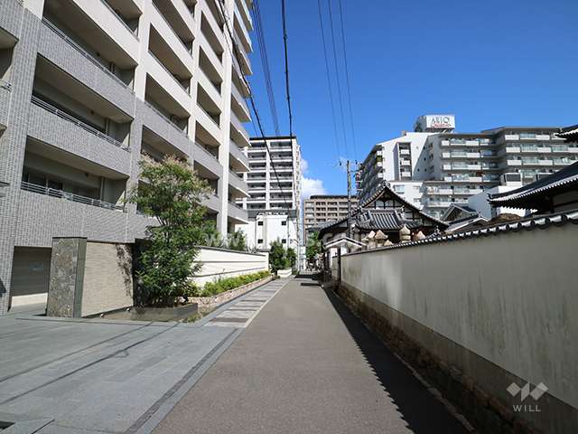 敷地東側の前面道路