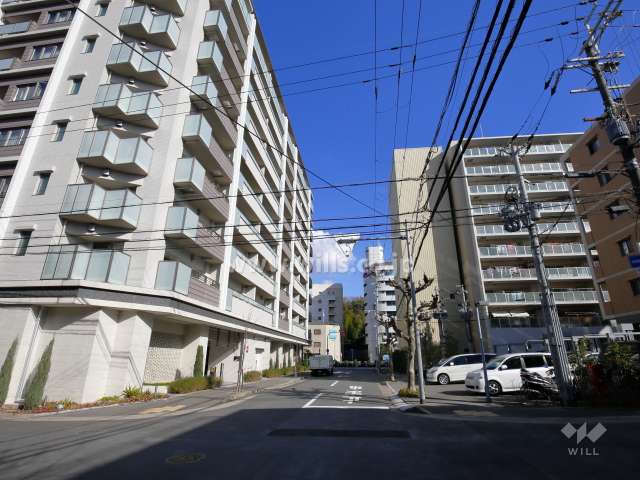 敷地南側の前面道路