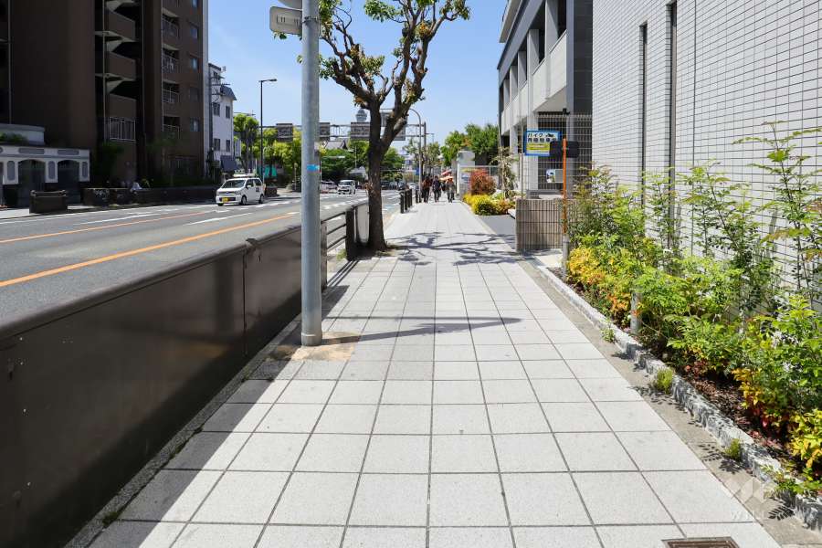 敷地南側の前面道路（東側から）