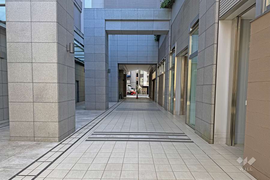 敷地北側の通路（西側から）