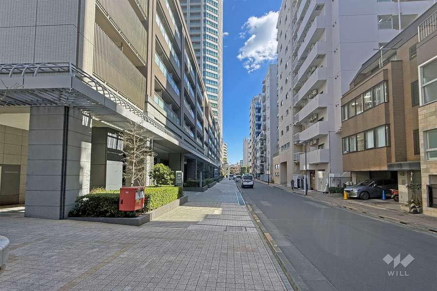 敷地の南側前面道路（西側から）