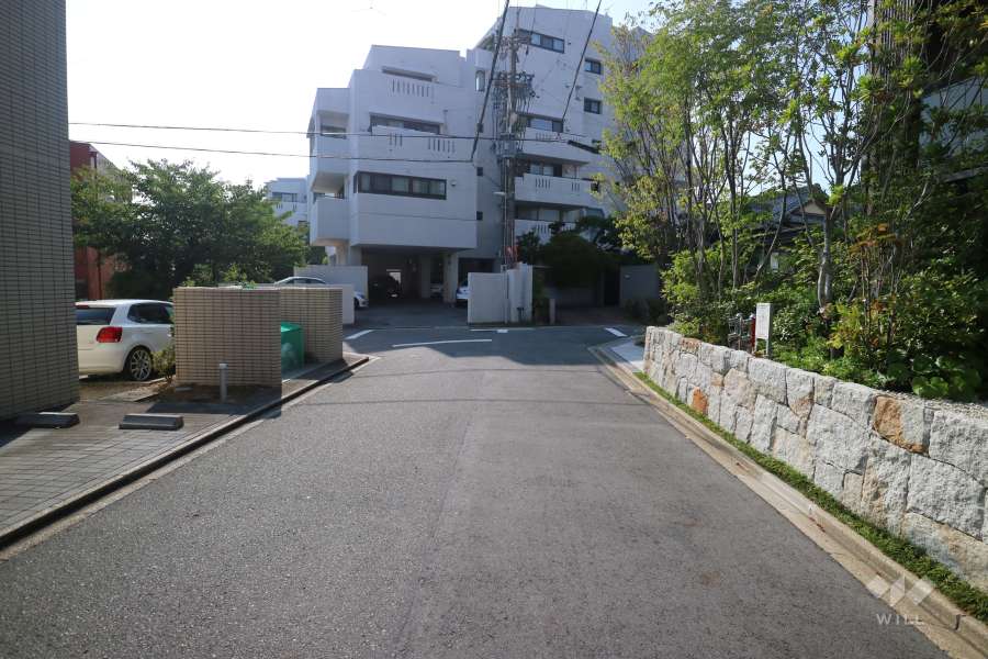 敷地南側の前面道路（東側から）
