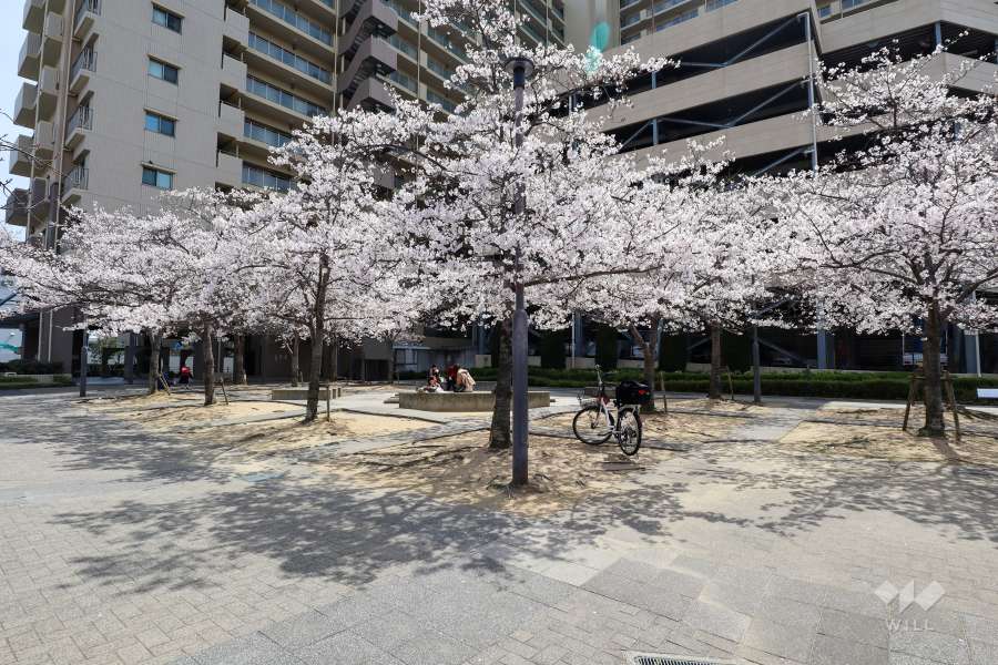 敷地北側部分にあるさくらガーデン