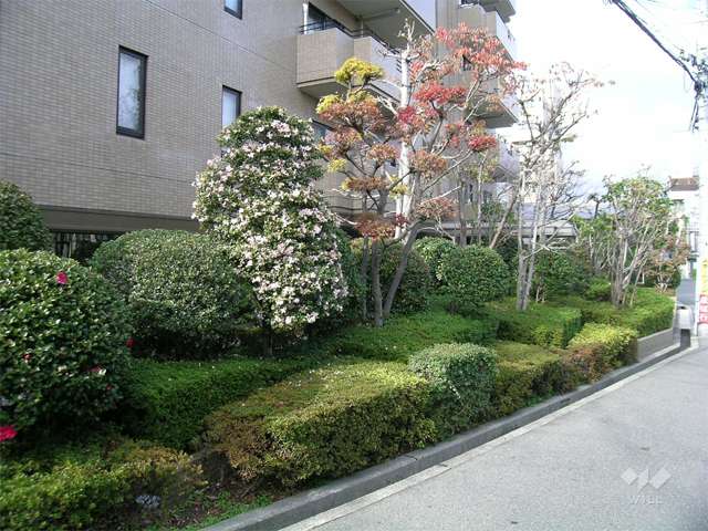 敷地東側の植栽スペース