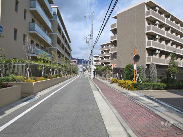 敷地東側の前面道路