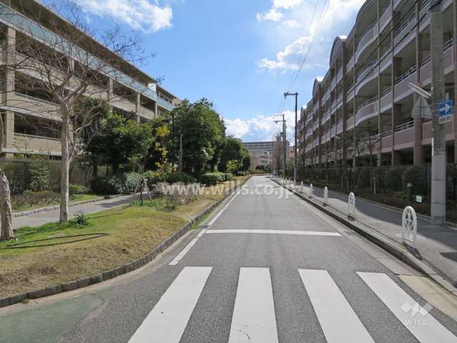 敷地西側の前面道路（江尻川緑道）