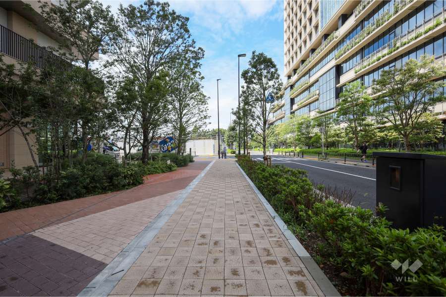 敷地北側の前面道路(東側から)