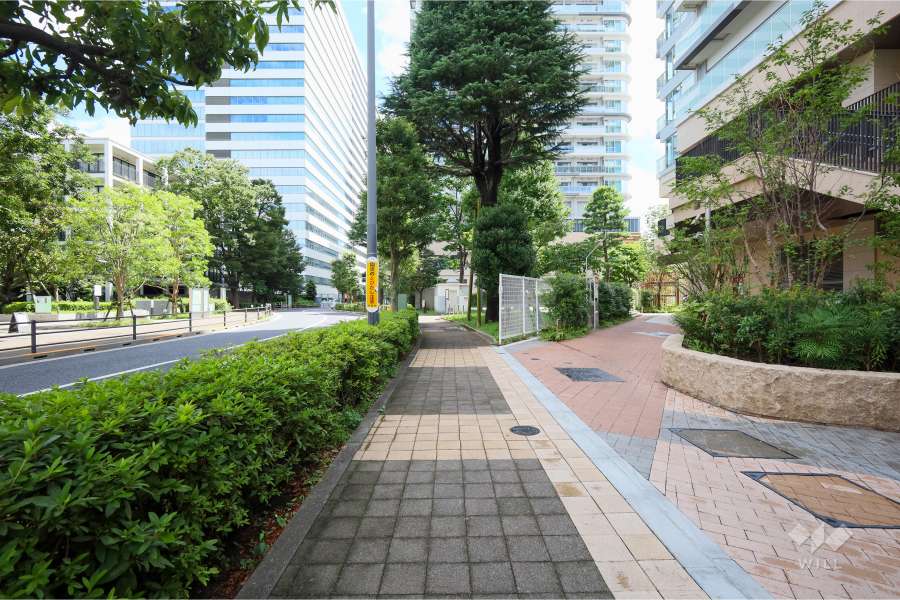 敷地北側の前面道路(西側から)