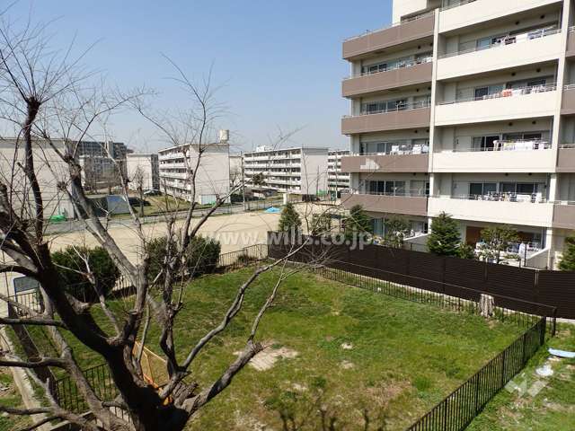 敷地の南側は空き地になっています。