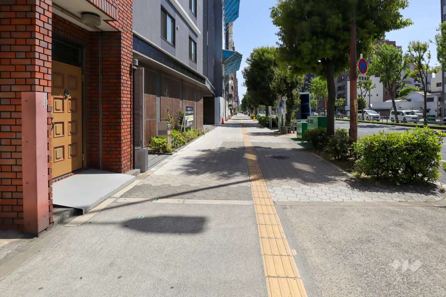 敷地西側の前面道路（北側から）