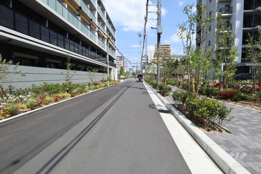 敷地北側の前面道路（西側から）