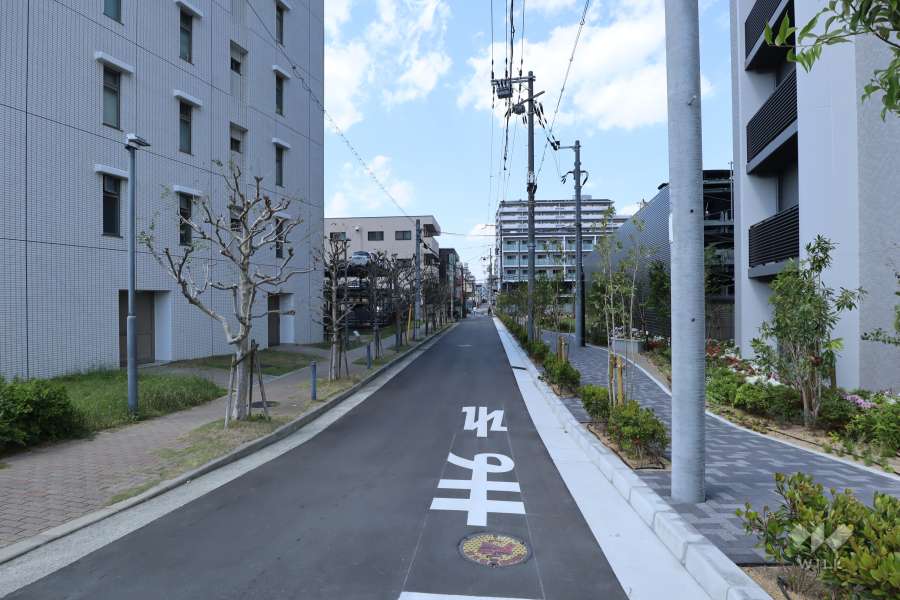敷地西側の前面道路（南側から）