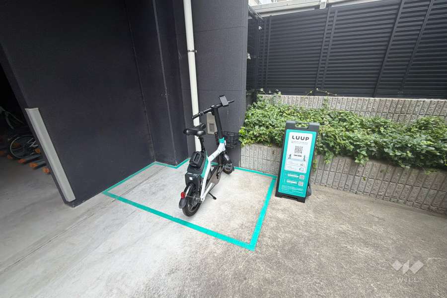 LUUPポート