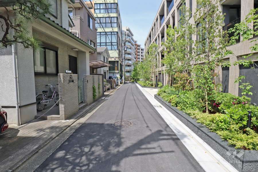 敷地の西側前面道路（南側から）