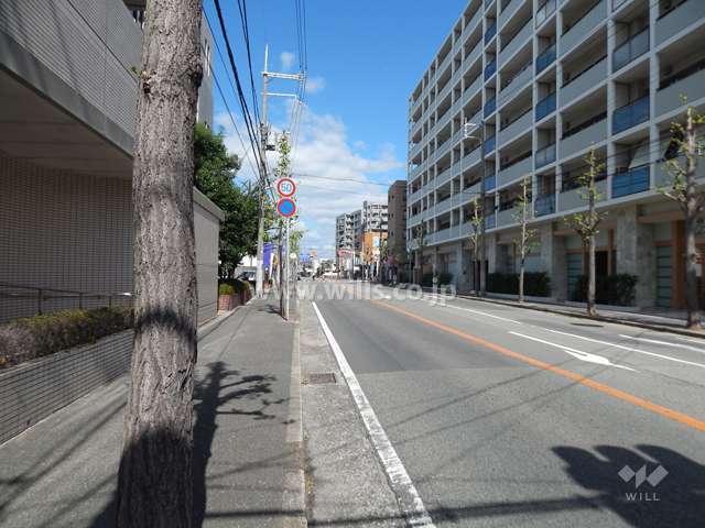 敷地西側の前面道路（南側から）