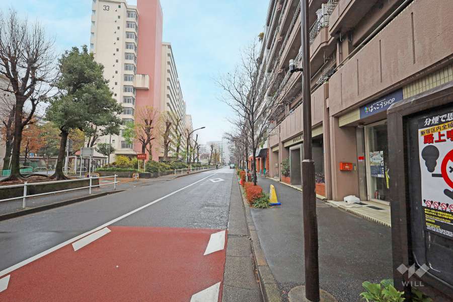 敷地東側の前面道路（北側から）