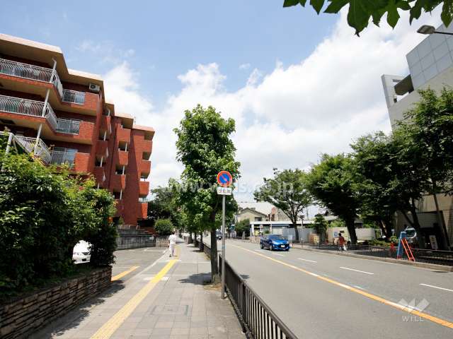 敷地東側の前面道路。道を挟んで『中央公民館』があります。