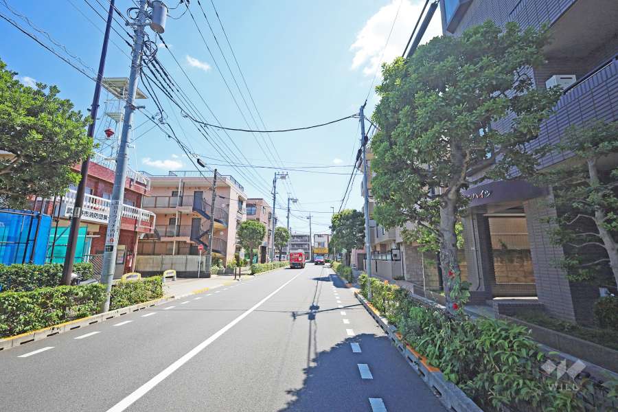 敷地東側の前面道路（北側から）