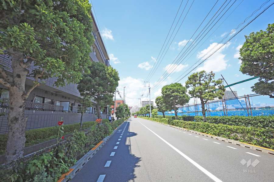 敷地東側の前面道路（南側から）