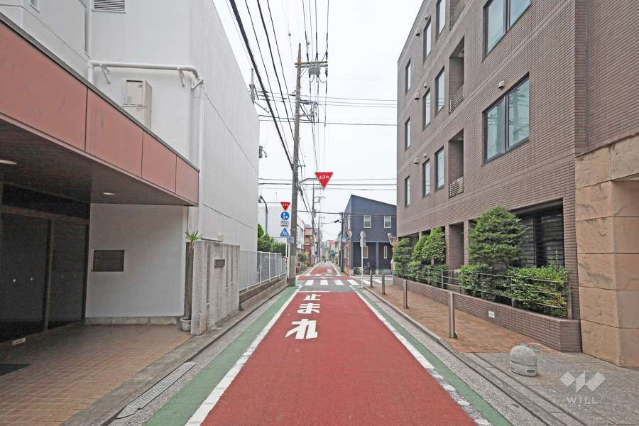 敷地西側の前面道路（北側から）
