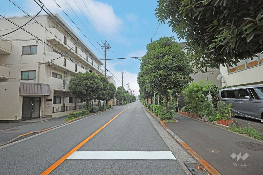 敷地東側の前面道路（北側から）