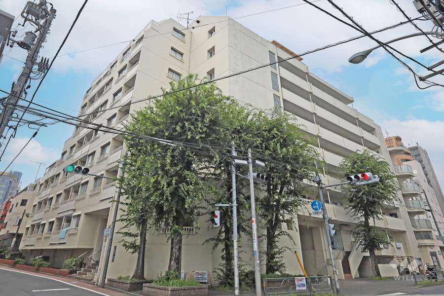 迦葉武蔵野第３マンションの外観（北東側から）