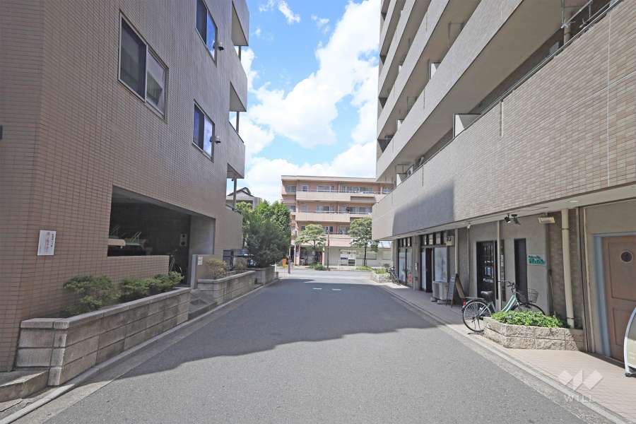 敷地東側の前面道路