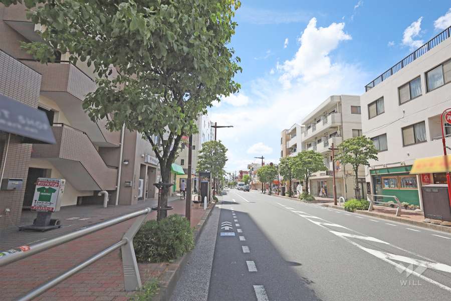 敷地北側の前面道路