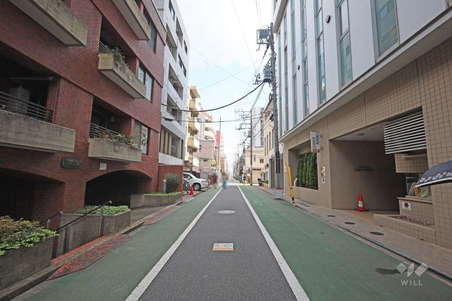 敷地東側の前面道路　