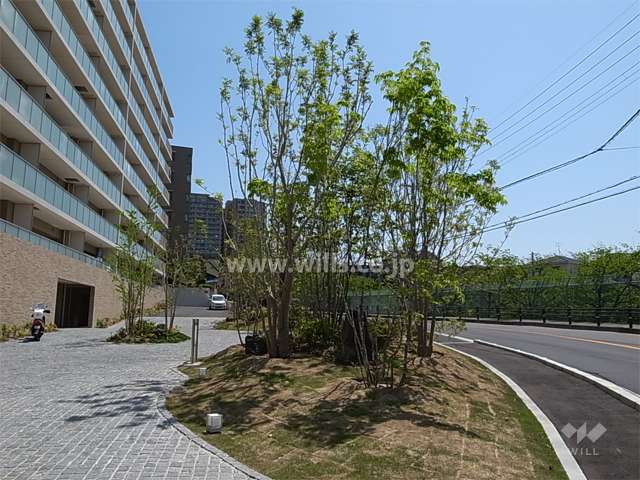 エントランス前の植栽スペース