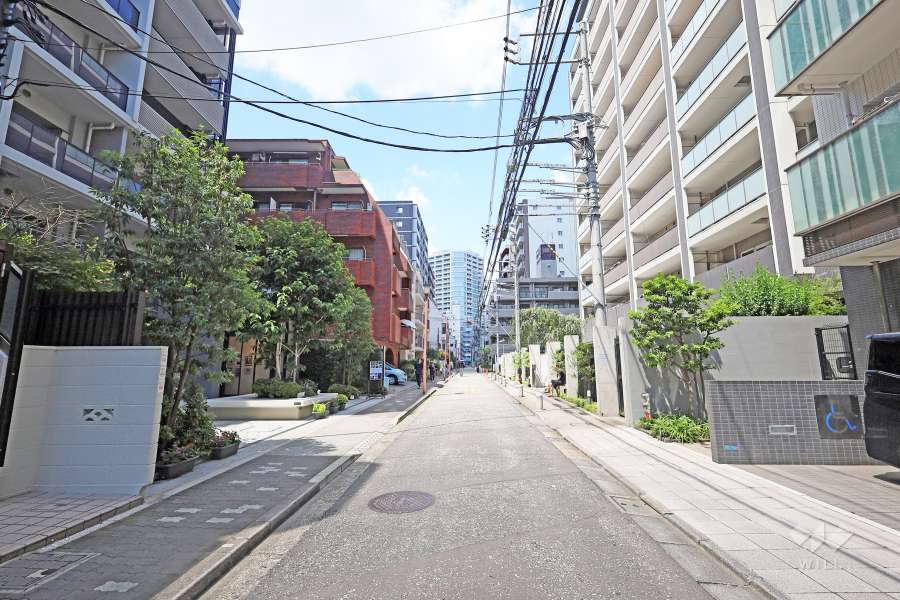 敷地東側の前面道路（南側から）