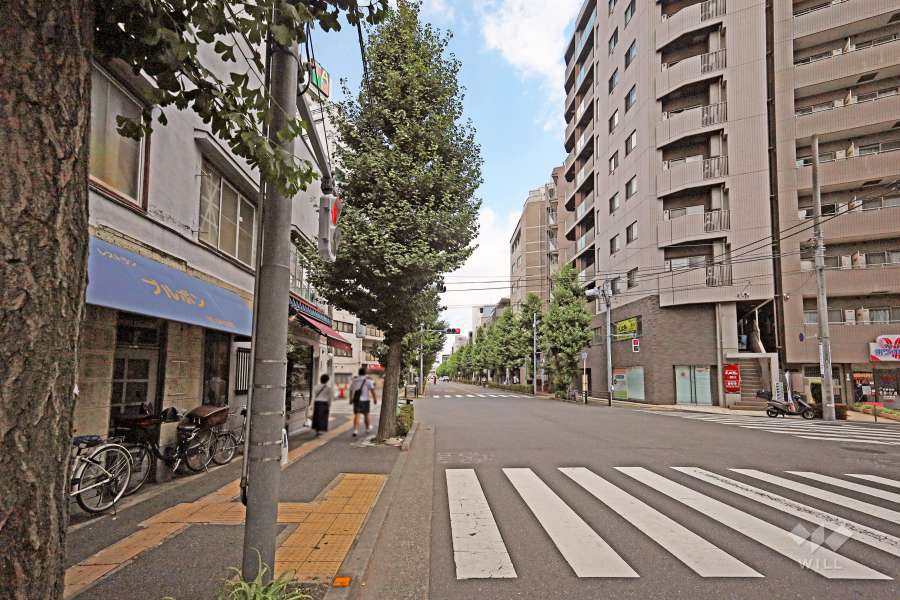 敷地南側の前面道路（西側から）