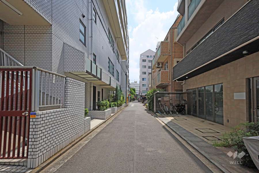 敷地西側の前面道路（北側から）