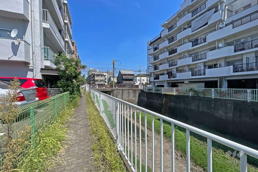 敷地の西側前面道路は仙川に面しています（北側から）。