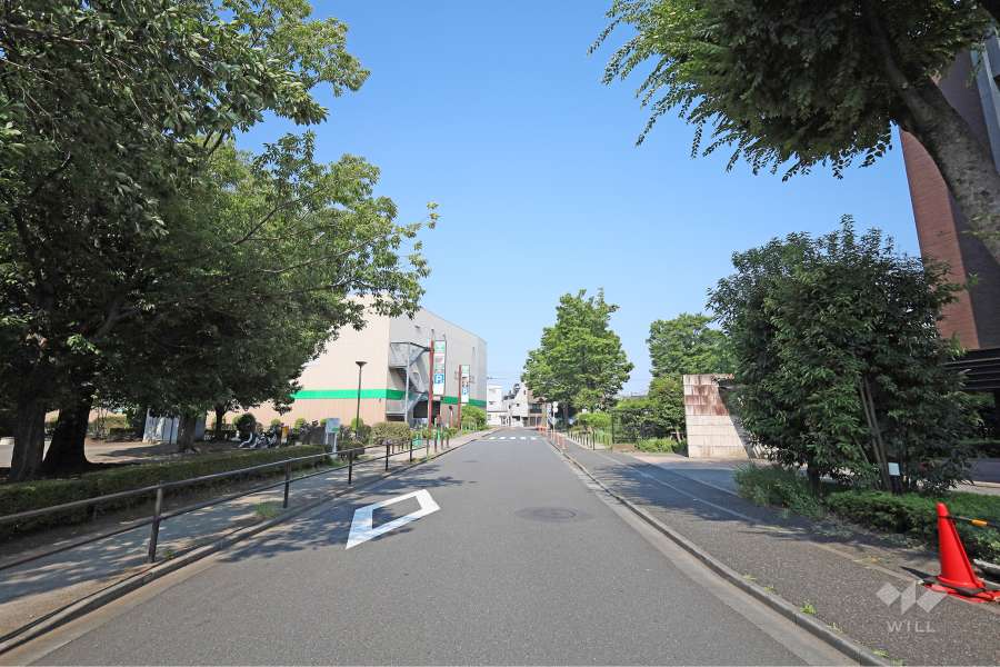 敷地北西側の前面道路（南西側から）