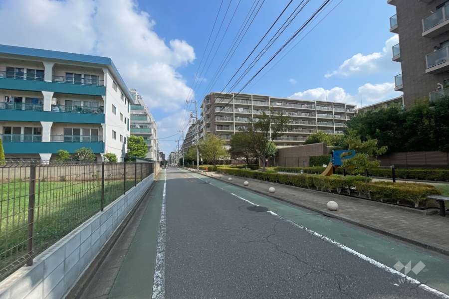 敷地の西側前面道路（南側から）