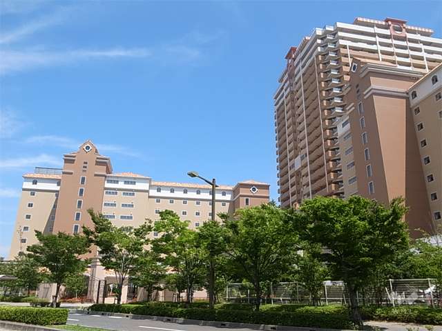 敷地北西側の街路樹がきれいな通り