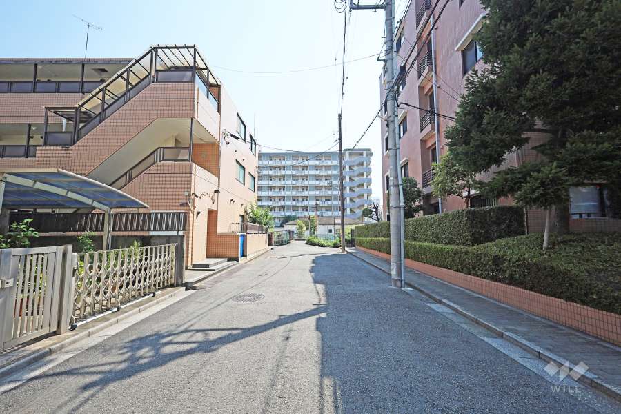 敷地東側の前面道路（北側から）