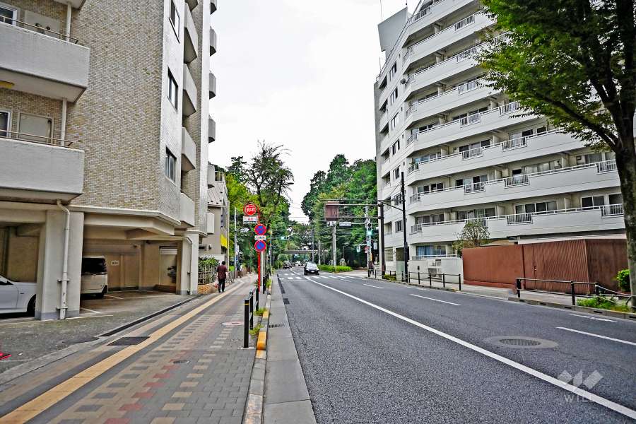 敷地北西側の前面道路（北東から）