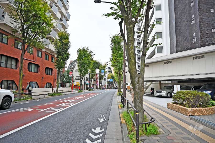 敷地北西側の前面道路（南西から）