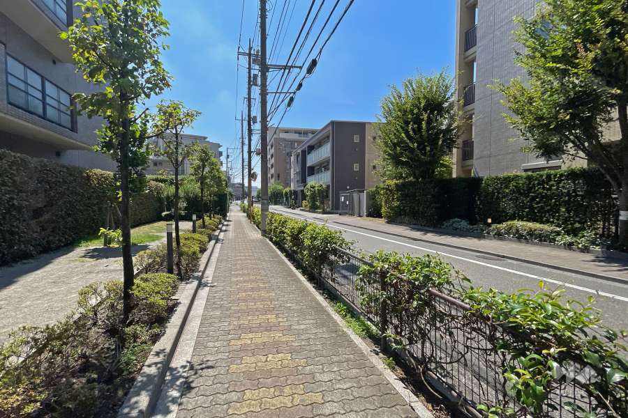 敷地西側の前面道路（北側から）