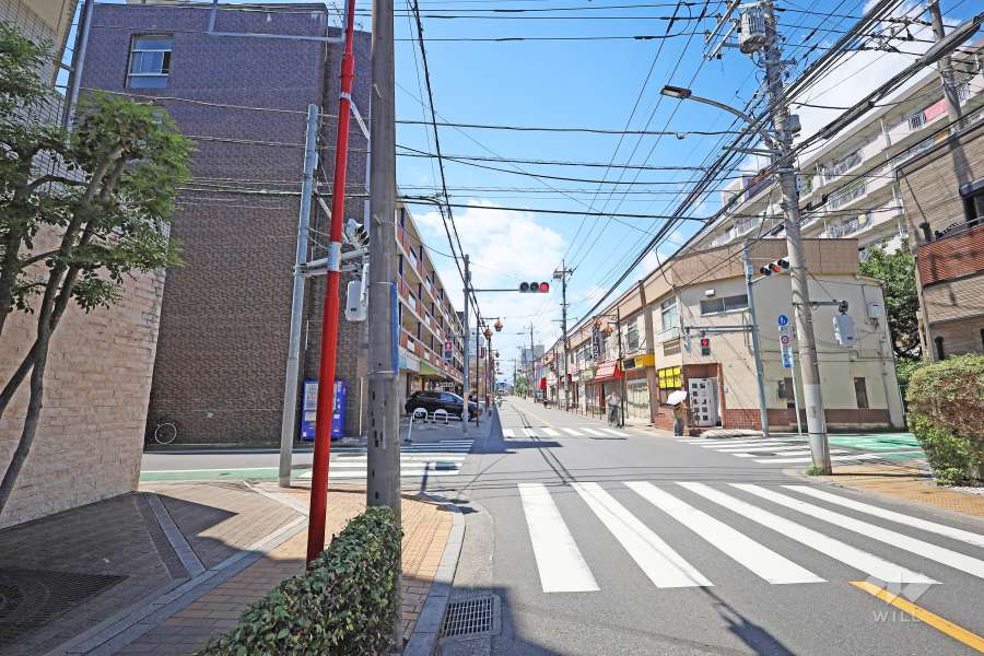 敷地北側の前面道路（東側から）