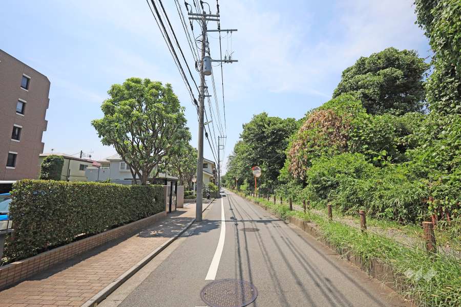 敷地北側の前面道路　