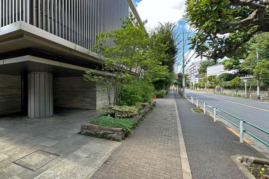 敷地北側の前面道路（東側から）