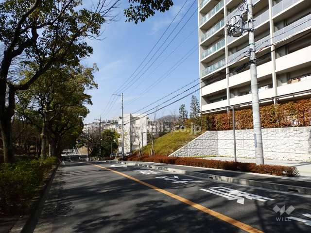 敷地南側の前面道路。道を挟んで、『千里南公園』が広がっています。