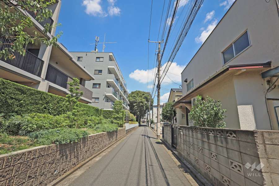 敷地南東側の前面道路（南西側から）