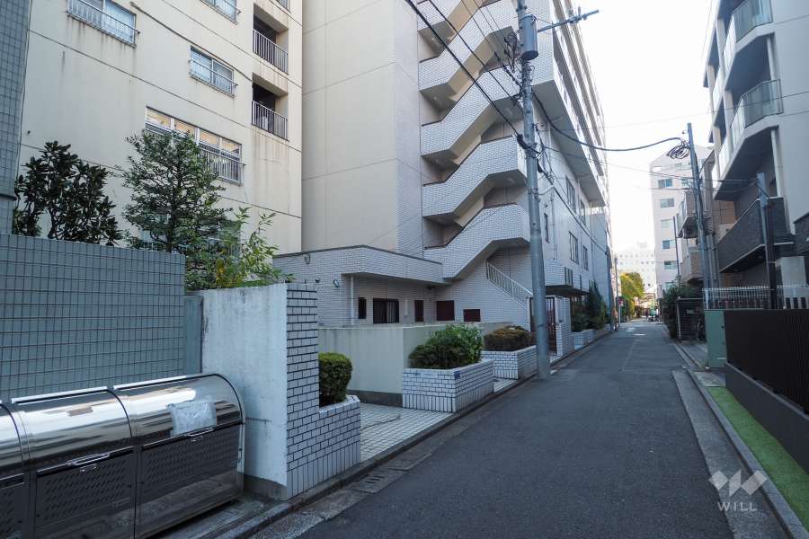 敷地西側の前面道路（北側から）