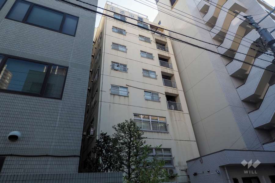 上内ビルの外観（北西側から側から）