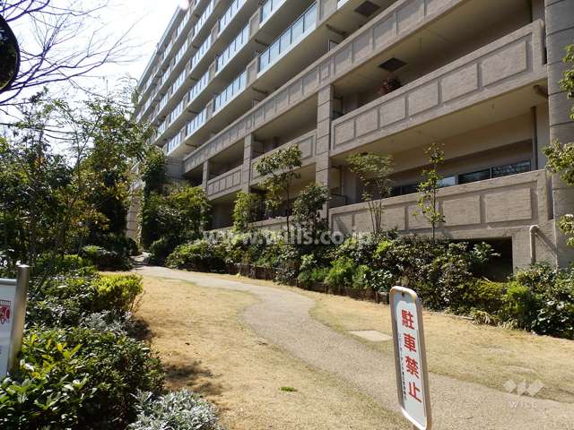 敷地南側植栽スペース