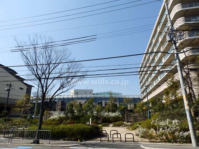 敷地南側は公園になっています。